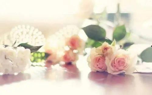 许你此生偏爱,一段深情厚谊的浪漫演绎